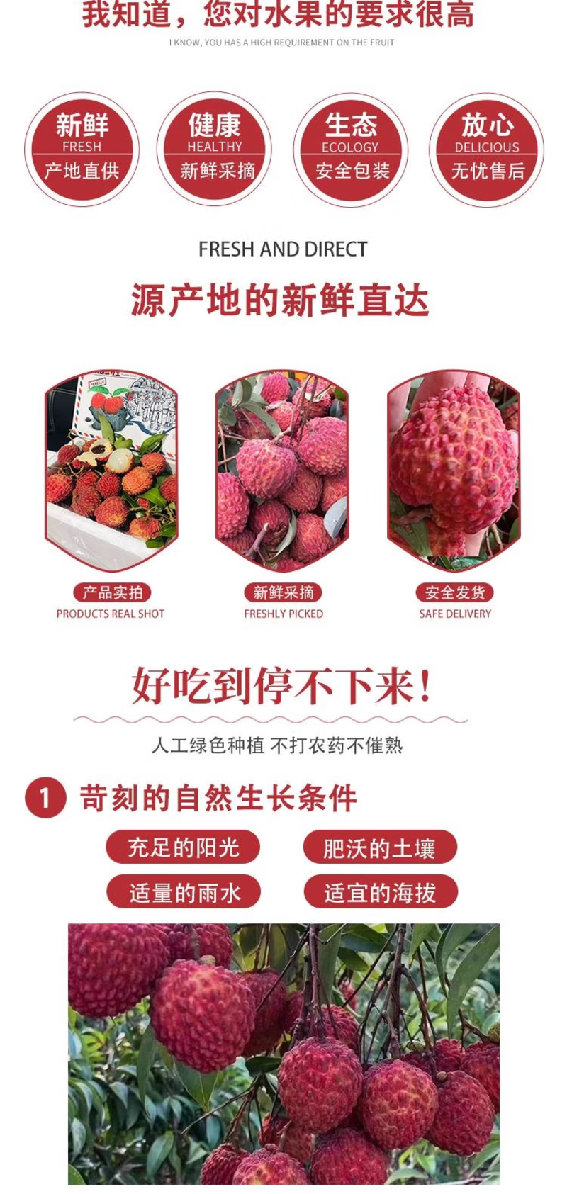 广东荔枝王超大新鲜空运水果整箱礼盒现摘现发一件代发