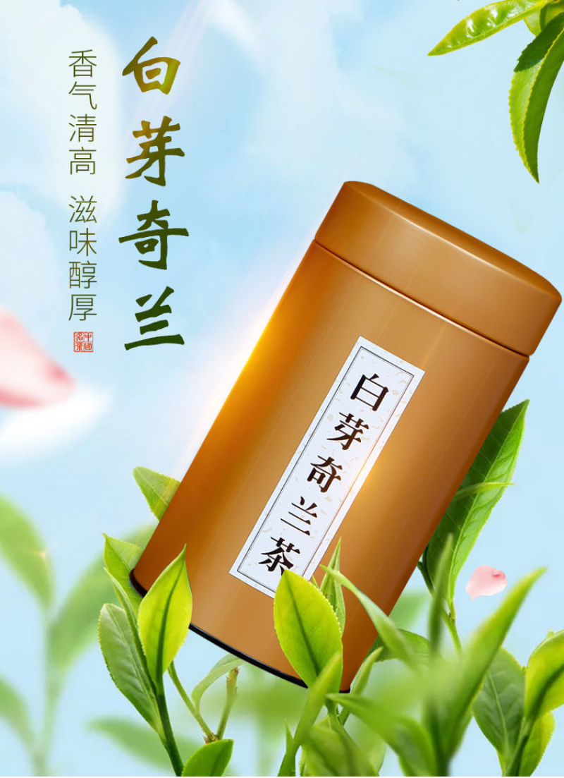 福建漳州平和白芽奇兰茶茶香浓郁回甘悠长茶香润喉欢迎订购