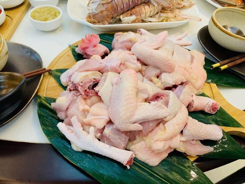 海南椰子鸡大量批发供-支持一件代发社区团购椰子鸡清补凉