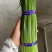 山东梁山精品韭苔产地直发品质包装诚信合作欢迎客商来电