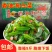 【泡菜】腾晖香油海白菜腌制酱菜咸菜下饭菜整箱8斤商用小菜