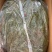 【泡菜】腾晖香油海白菜腌制酱菜咸菜下饭菜整箱8斤商用小菜