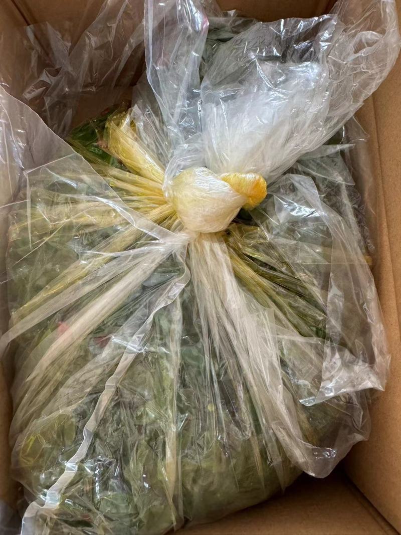 【泡菜】腾晖香油海白菜腌制酱菜咸菜下饭菜整箱8斤商用小菜