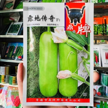 露地传奇瓠瓜种子早熟耐高温果皮嫩绿清香味甜