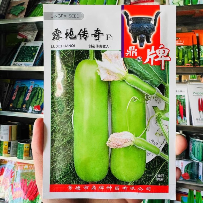露地传奇瓠瓜种子早熟耐高温果皮嫩绿清香味甜