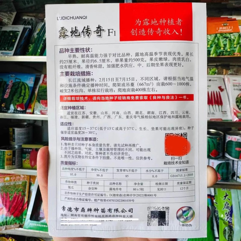 露地传奇瓠瓜种子早熟耐高温果皮嫩绿清香味甜