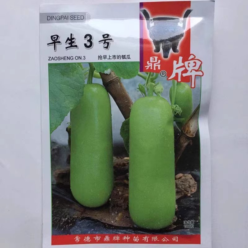 露地传奇瓠瓜种子早熟耐高温果皮嫩绿清香味甜