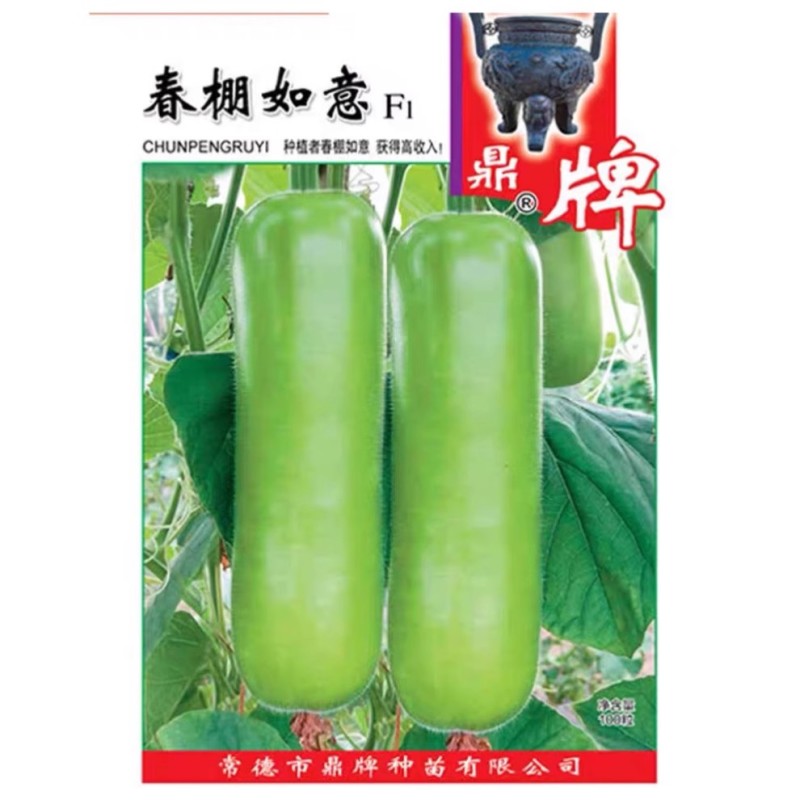 露地传奇瓠瓜种子早熟耐高温果皮嫩绿清香味甜