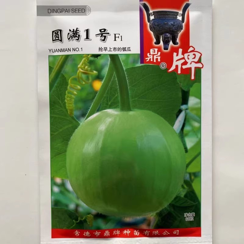 露地传奇瓠瓜种子早熟耐高温果皮嫩绿清香味甜