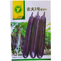 农夫2号茄子种子果形长棒果皮深紫光泽度好基地种植