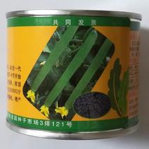 绿威丝瓜种子早熟耐热抗寒长棒顺直肉嫩香甜基地种
