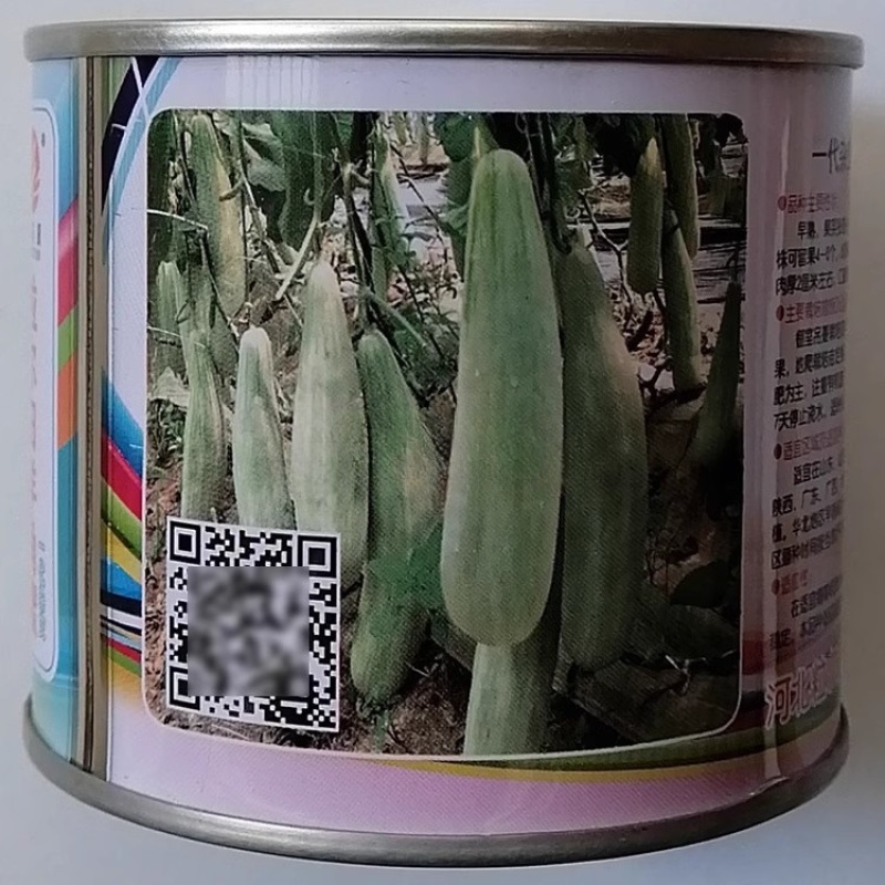 粒尔田羊角蜜甜瓜种子肉质酥脆香味浓郁早熟坐果多