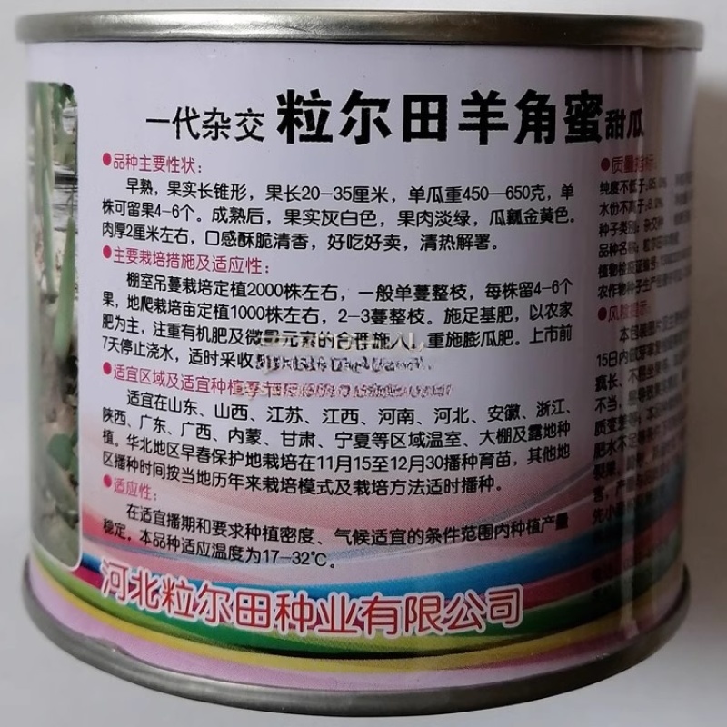 粒尔田羊角蜜甜瓜种子肉质酥脆香味浓郁早熟坐果多