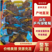 山东葡萄腾稔葡萄乒乓球对接商超看货保质保量.