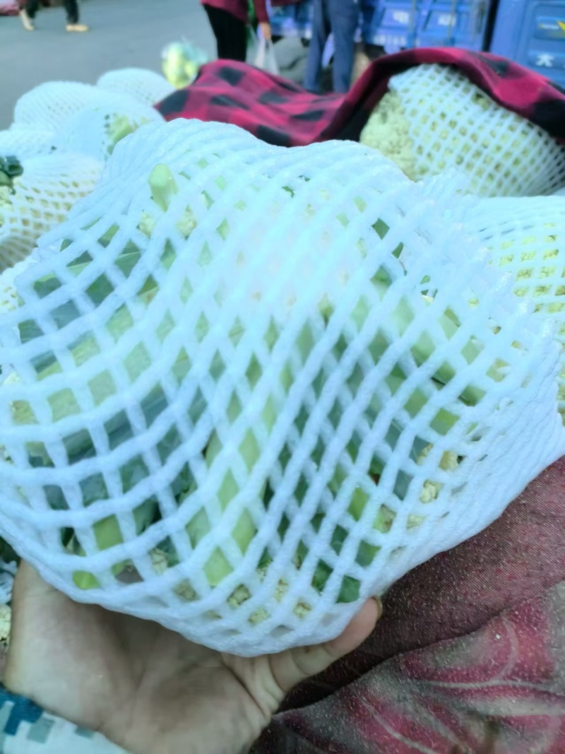 松花菜大量上市产地直发一手货源可视频看货
