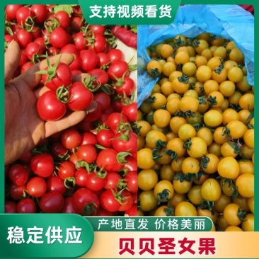 千禧果【电商果】山东莘县圣女果，贝贝圣女果专业运输团队