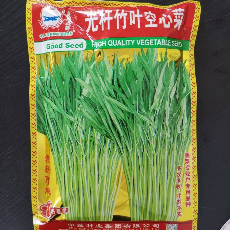 泰国空心菜种子绿梗空心菜口感脆嫩四季种植