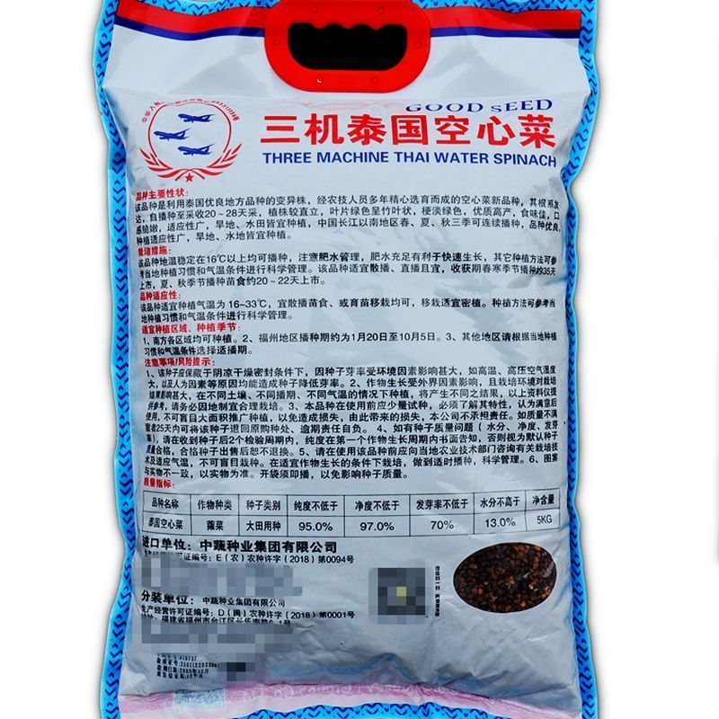泰国空心菜种子绿梗空心菜口感脆嫩四季种植