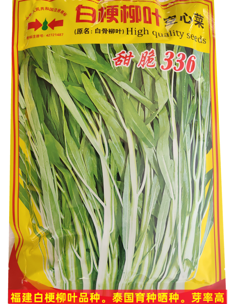 泰国空心菜种子绿梗空心菜口感脆嫩四季种植