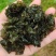 高原优质地皮菜无污染甘肃特色菜量大价优包邮