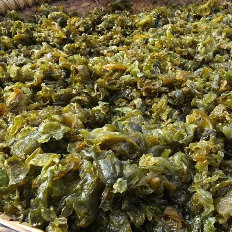 高原优质地皮菜无污染甘肃特色菜量大价优包邮