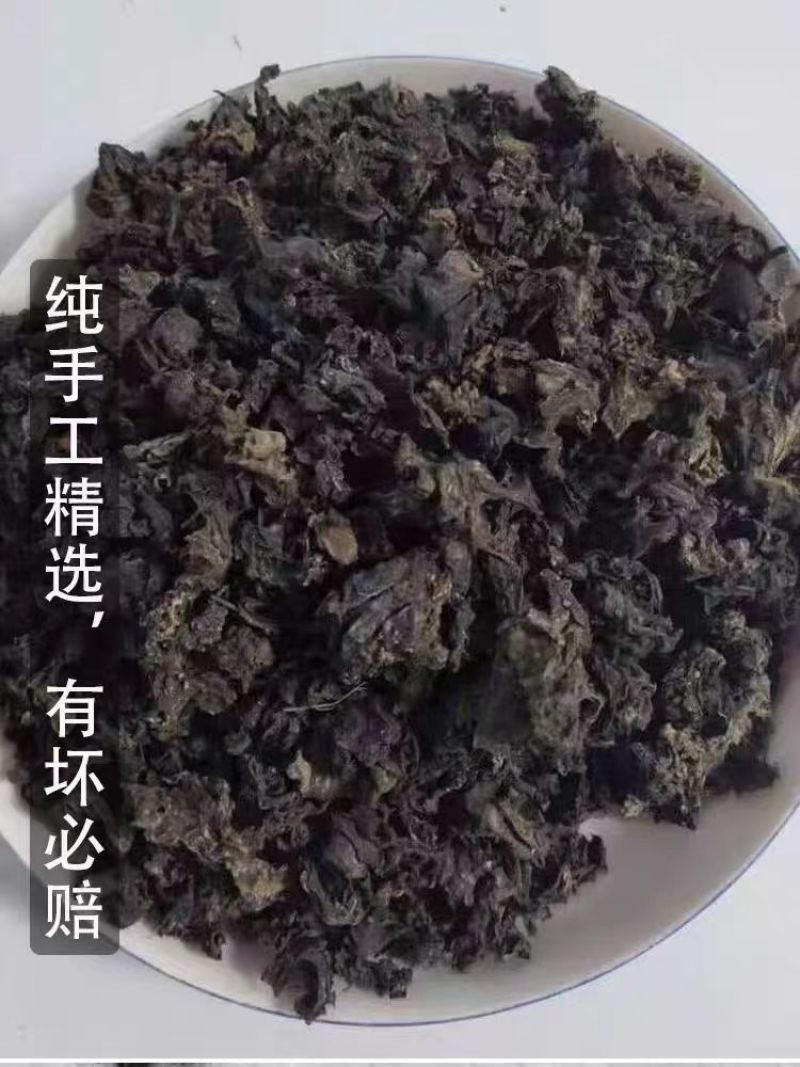 高原优质地皮菜无污染甘肃特色菜量大价优包邮