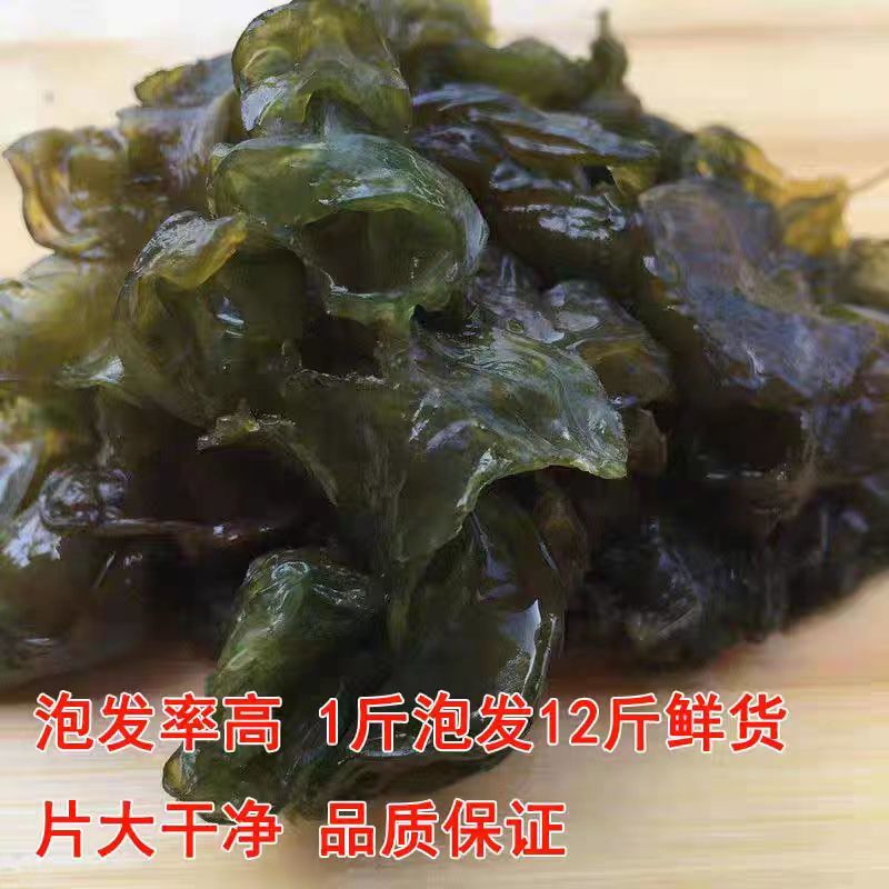高原优质地皮菜无污染甘肃特色菜量大价优包邮