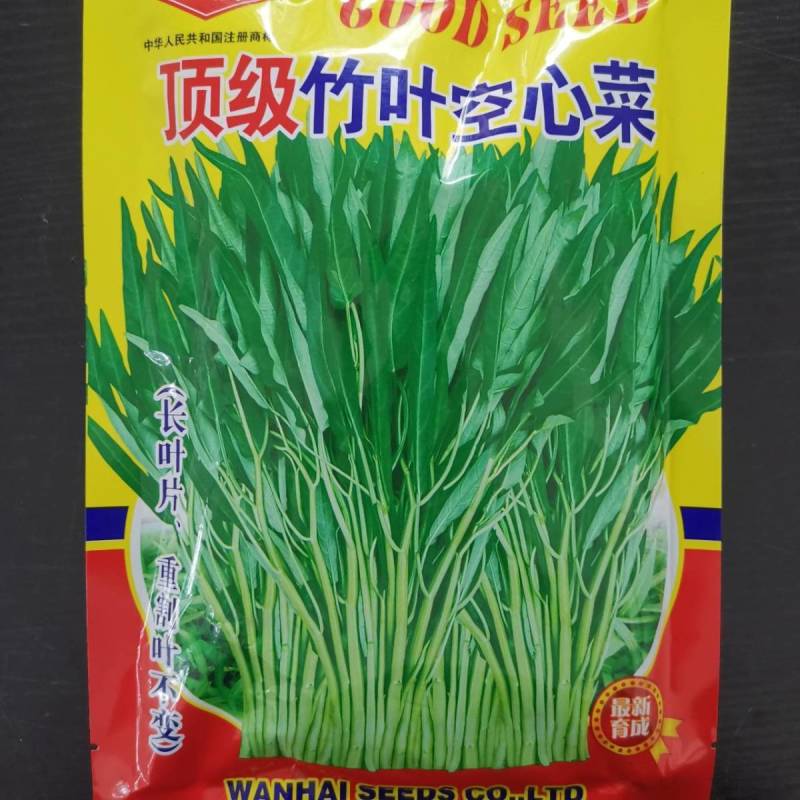 泰国空心菜种子绿梗空心菜口感脆嫩四季种植