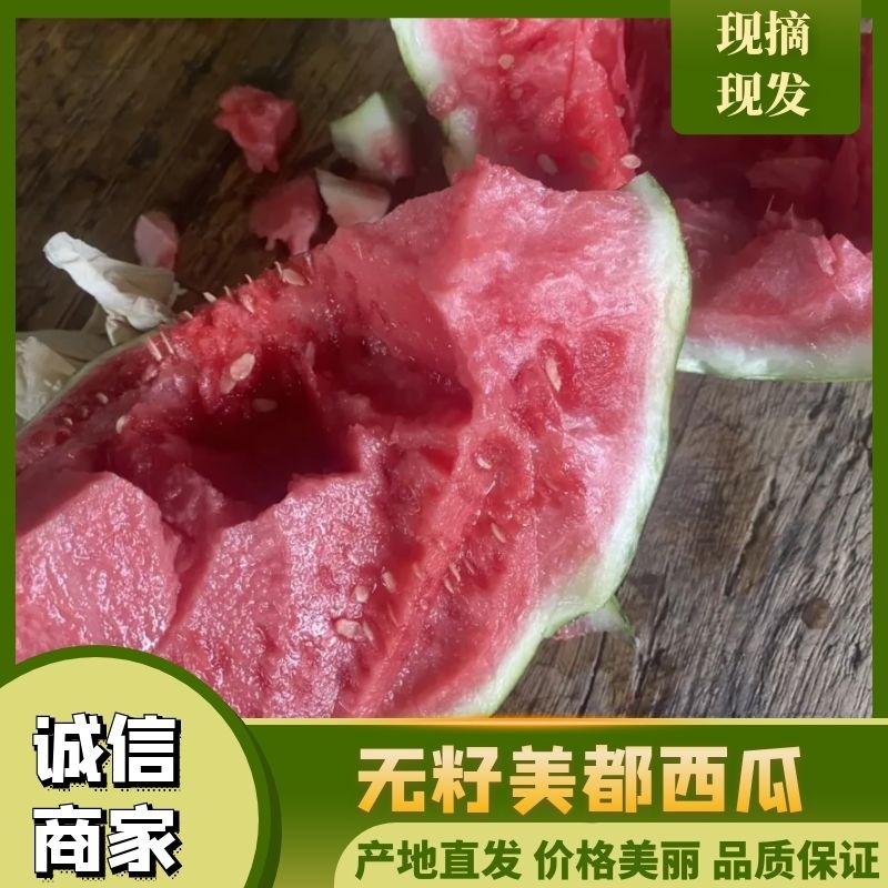 江苏西瓜精品西瓜美都西瓜大量发货中价格便宜欢迎来电咨询