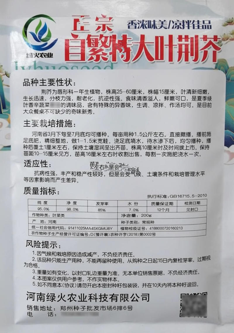 大叶荆芥种子香浓味美耐老化鲜嫩可口抗病