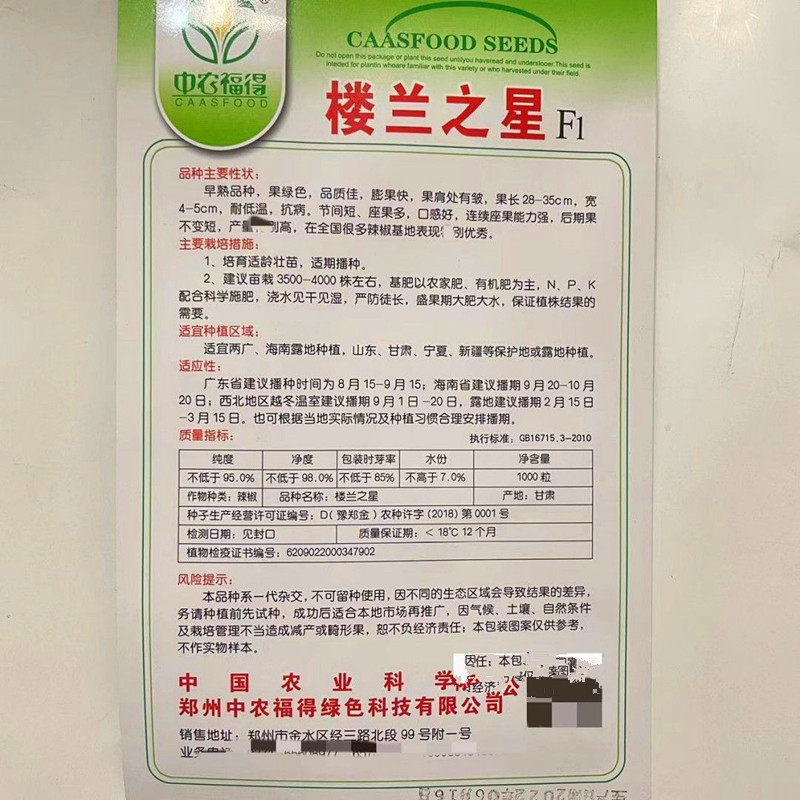 楼兰之星螺丝椒种子早熟抗病耐低温座果集中深绿螺纹
