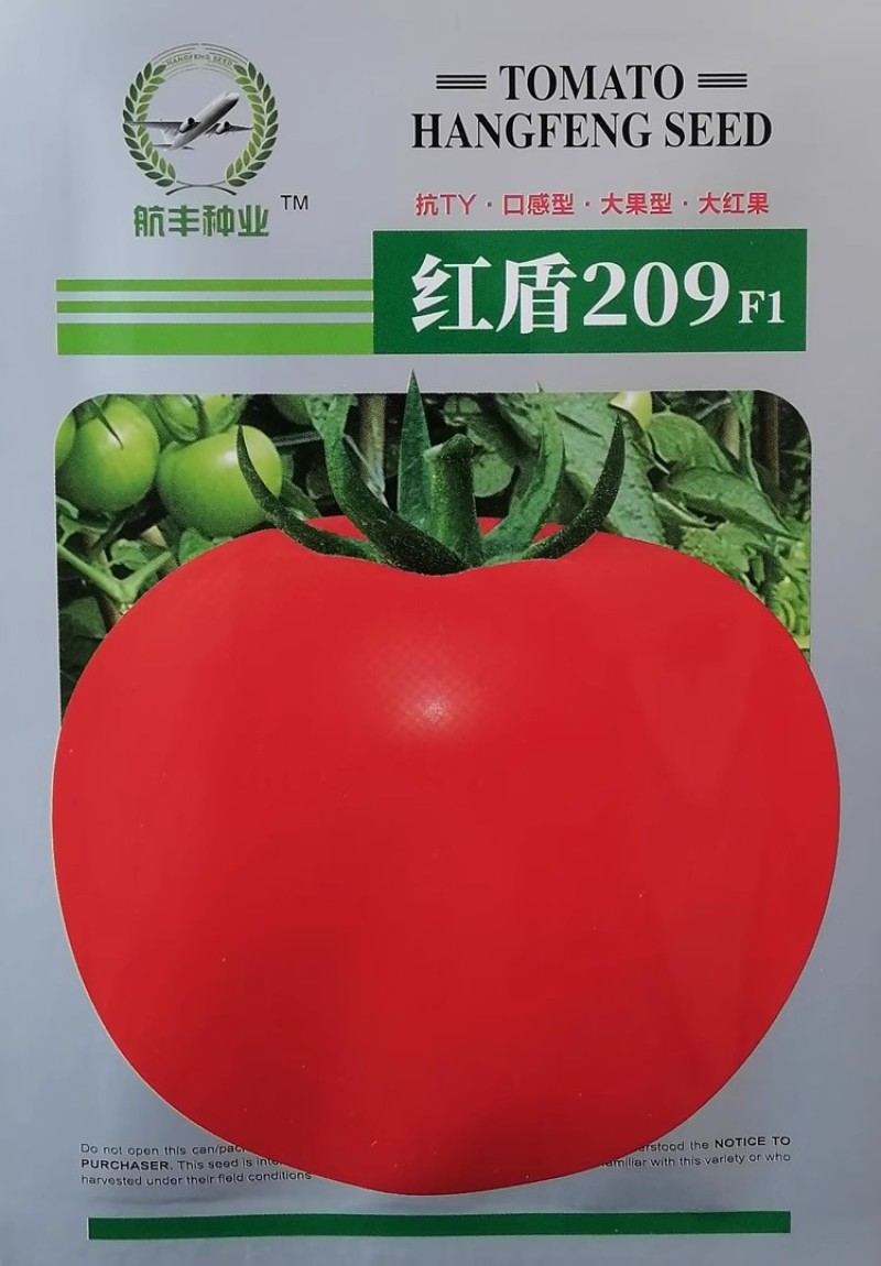 红盾209番茄种子早熟抗TY高秧大红果硬果耐裂