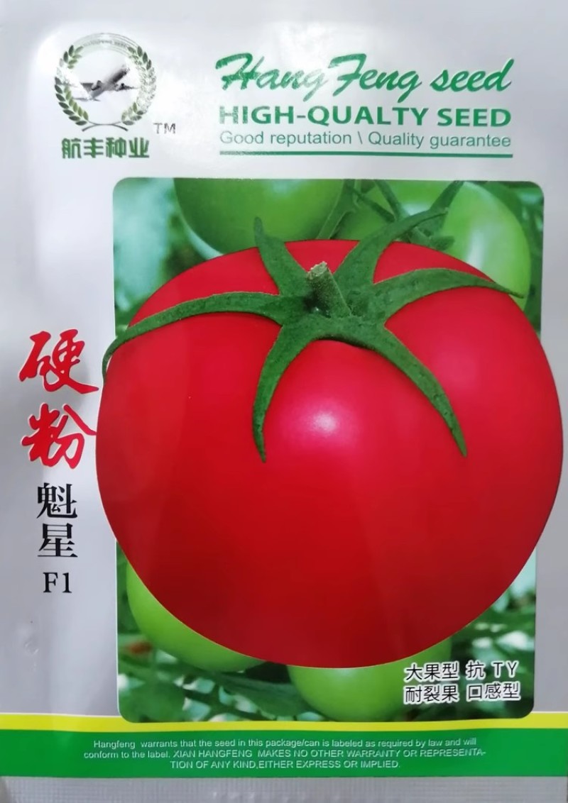 红盾209番茄种子早熟抗TY高秧大红果硬果耐裂