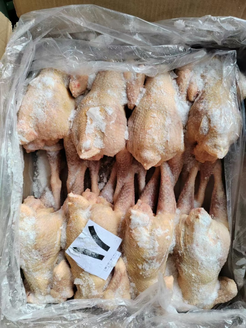 【牛商商家】东北红羽老母鸡量大从优欢迎咨询