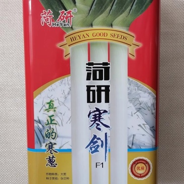 菏研寒剑大葱种子葱白高大粗壮耐热抗寒基地种植