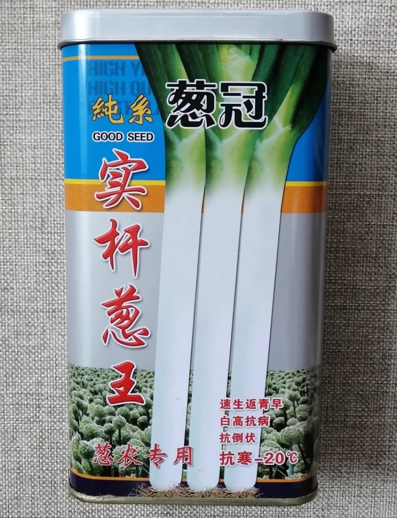 菏研寒剑大葱种子葱白高大粗壮耐热抗寒基地种植