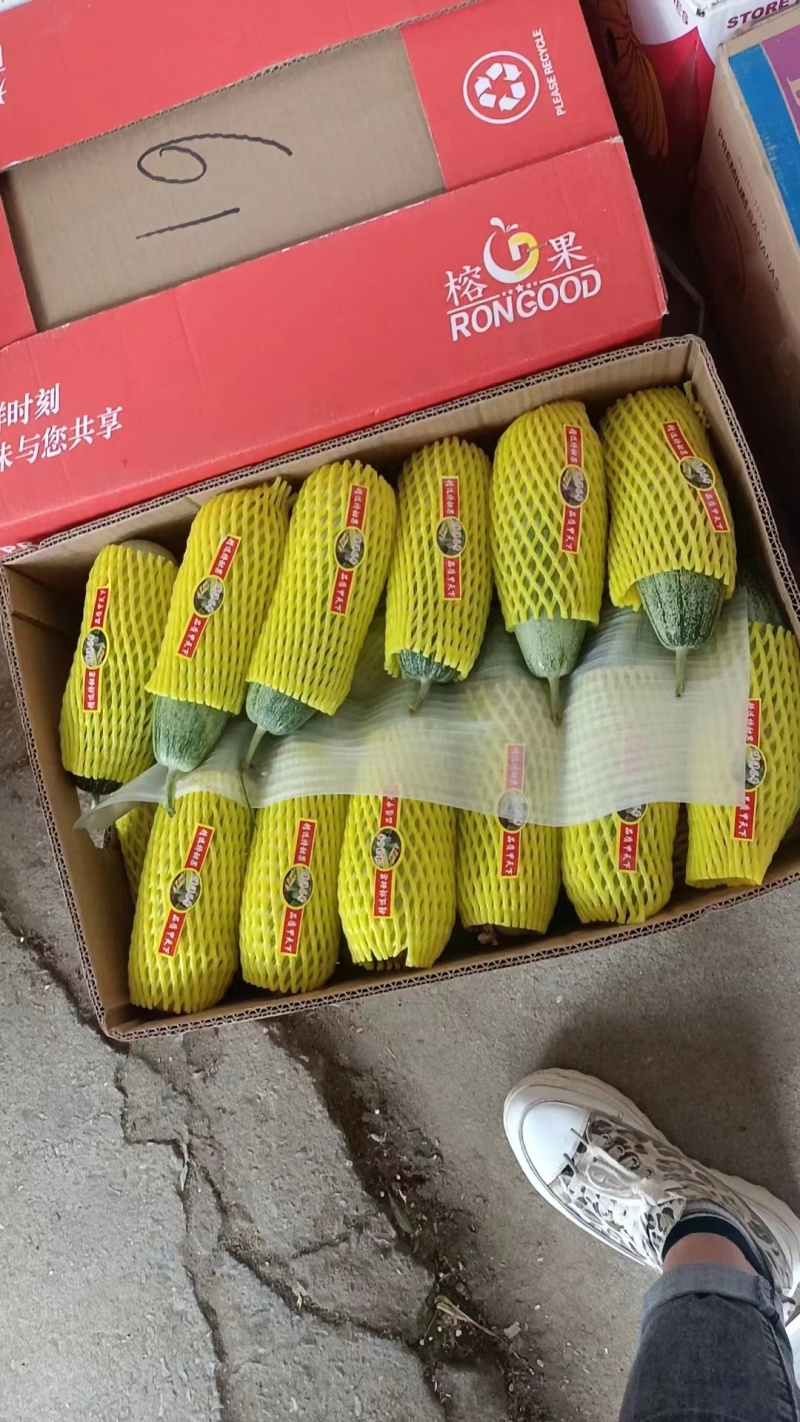 【精品羊角蜜】河北新乐基地直供质量保证一手货源欢迎订购