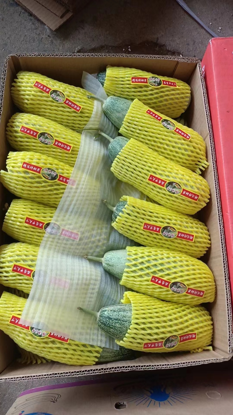 【精品羊角蜜】河北新乐基地直供质量保证一手货源欢迎订购