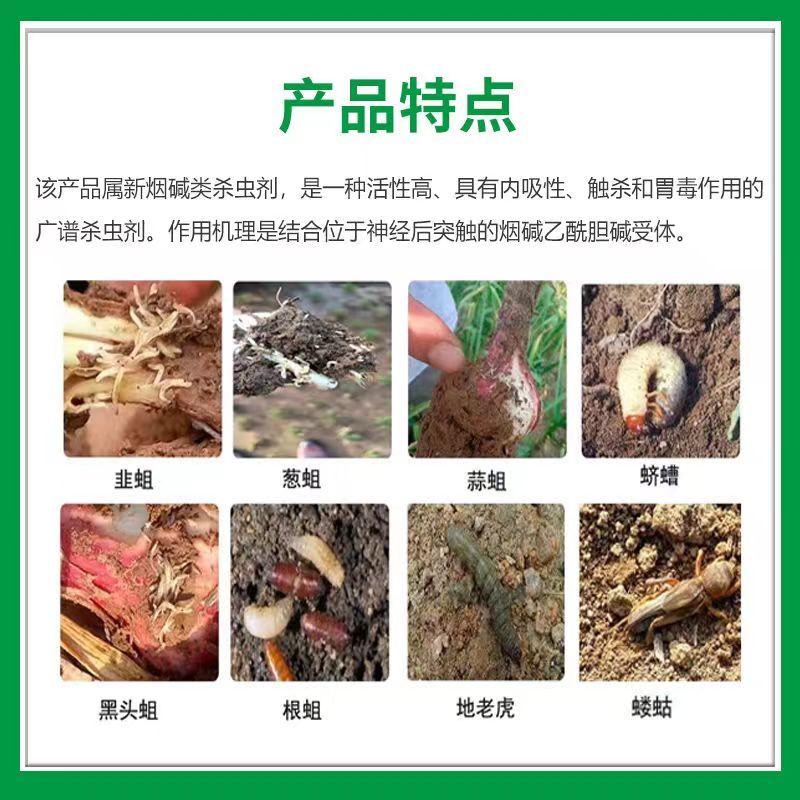 48%噻虫胺蚜虫蓟马飞虱地下害虫黑头蛆梨木虱果树蔬菜农药