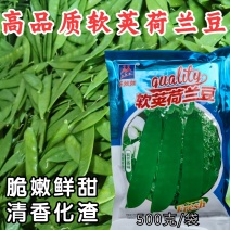 软荚荷兰豆种子脆嫩鲜甜抗倒伏基地种植