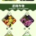 助剂蜗螺净蜗牛福寿螺蛞蝓鼻涕虫软体动物