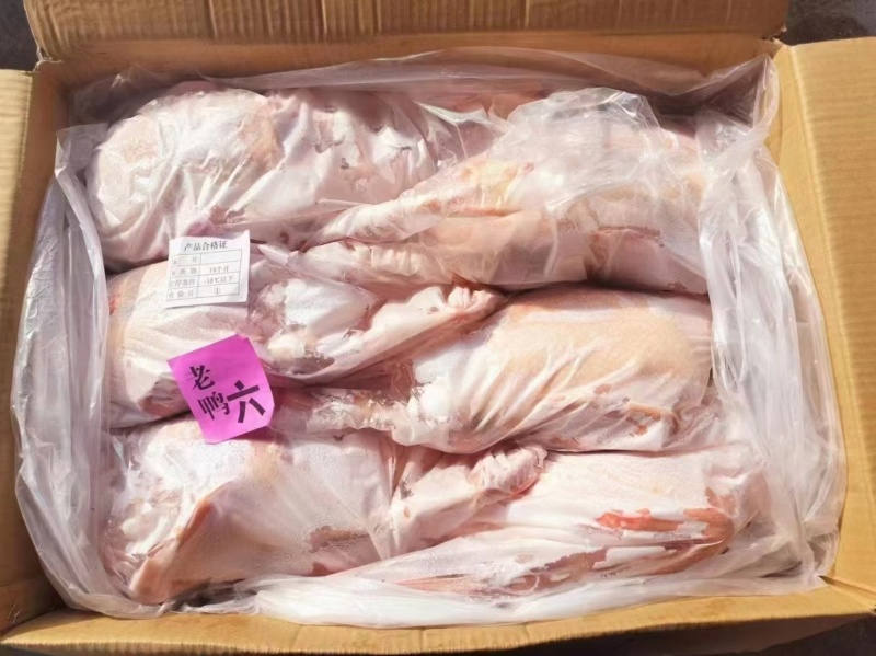 老种鸭养殖周期一年以上