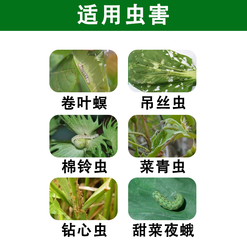 虫螨腈氯虫苯甲酰胺杀虫甜菜夜蛾菜青虫二化螟水稻卷叶螟喷雾