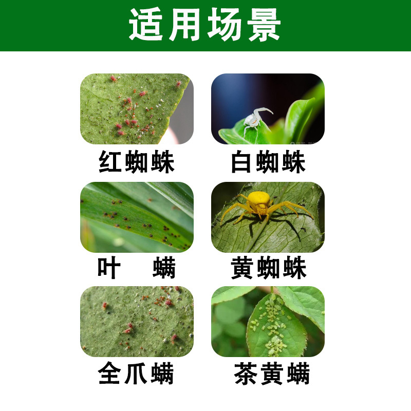 杀螨剂阿维哒螨灵红蜘蛛白蜘蛛叶螨茶黄螨锈壁虱全爪螨