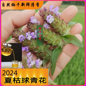 夏枯球前期青花原产地发货鲜嫩花天然晒干头茬鲜货干品