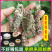 夏枯球前期青花原产地发货鲜嫩花天然晒干头茬鲜货干品