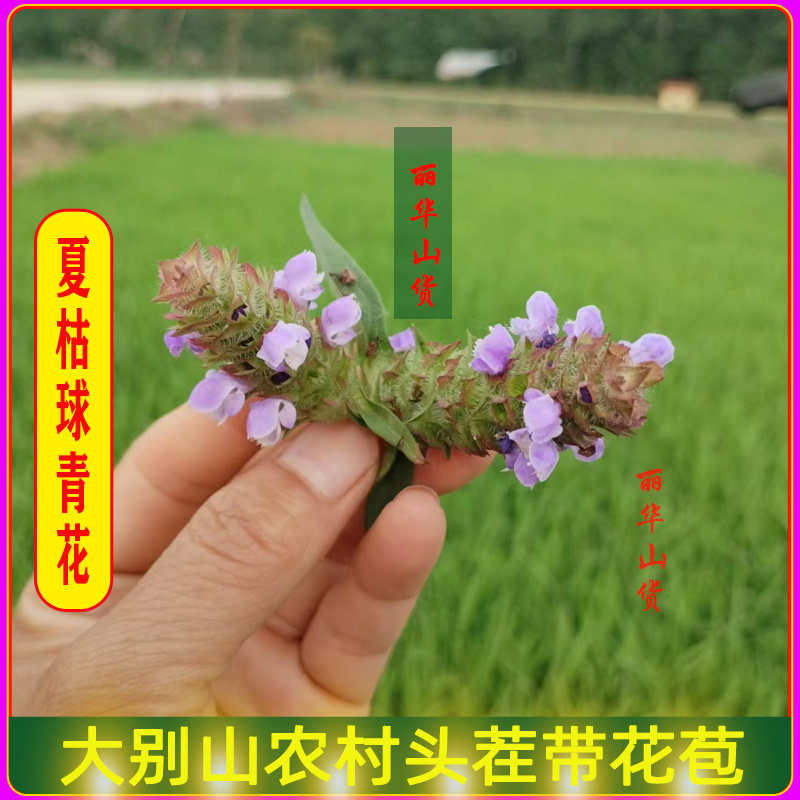 夏枯球前期青花原产地发货鲜嫩花天然晒干头茬鲜货干品