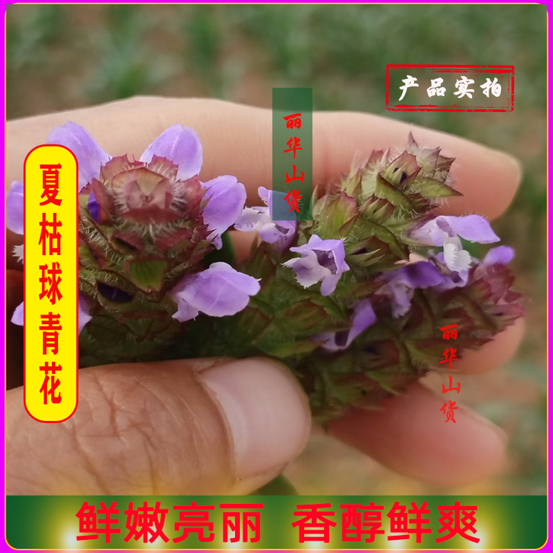 夏枯球前期青花原产地发货鲜嫩花天然晒干头茬鲜货干品