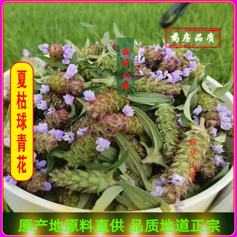 夏枯球前期青花原产地发货鲜嫩花天然晒干头茬鲜货干品