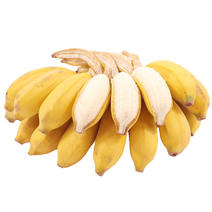 【一件代发】广西小米蕉禁止蕉绿支持各大电商平台代发